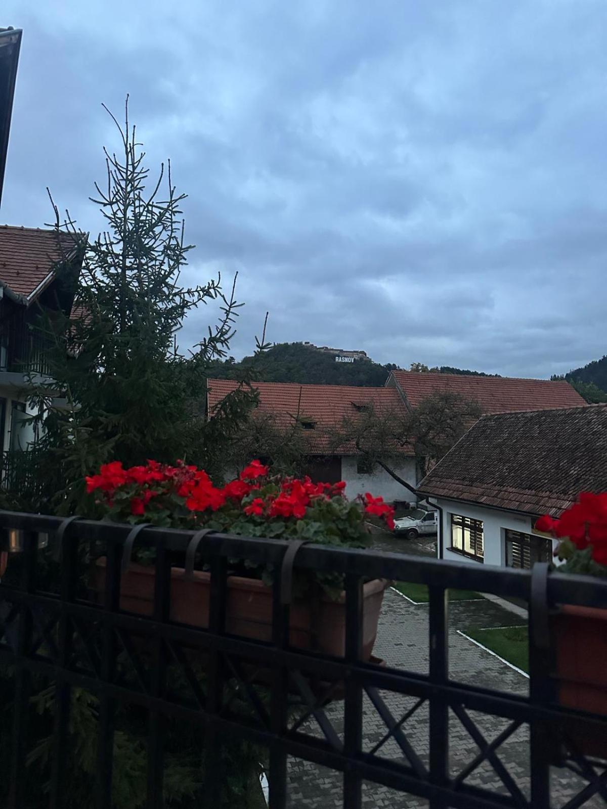 Pensiunea Casa Saxonia Risnov Bagian luar foto