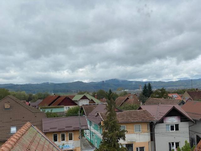 Pensiunea Casa Saxonia Risnov Bagian luar foto