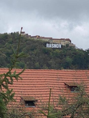 Pensiunea Casa Saxonia Risnov Bagian luar foto