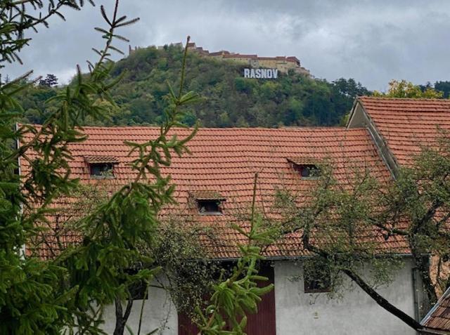 Pensiunea Casa Saxonia Risnov Bagian luar foto