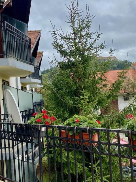 Pensiunea Casa Saxonia Risnov Bagian luar foto