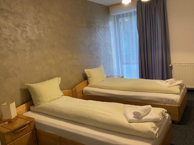 Pensiunea Casa Saxonia Risnov Bagian luar foto