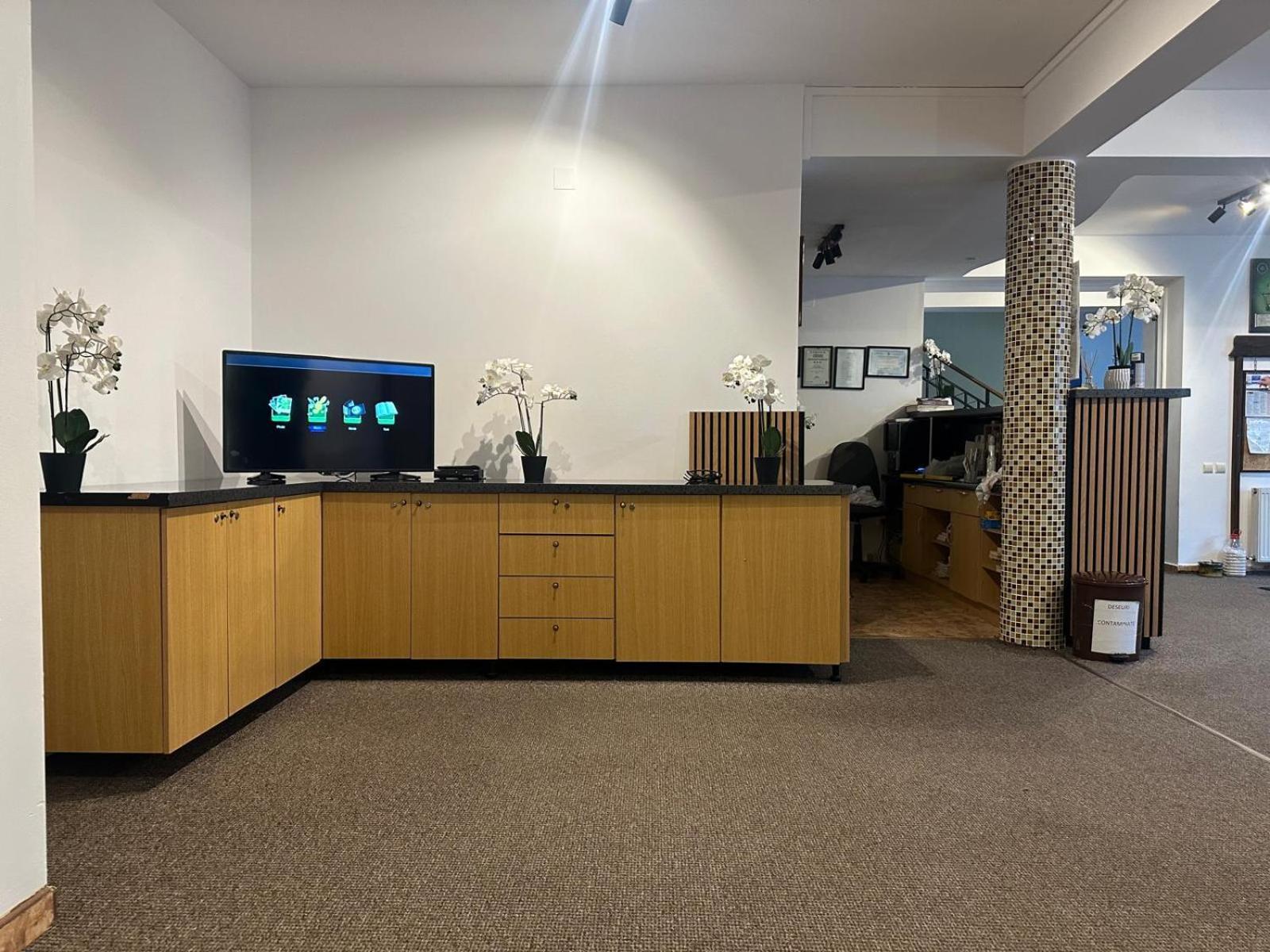 Pensiunea Casa Saxonia Risnov Bagian luar foto