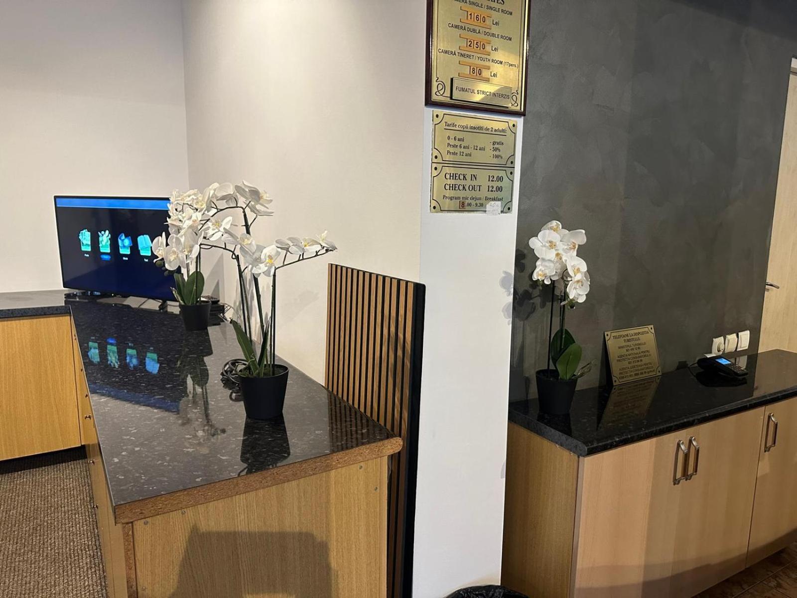 Pensiunea Casa Saxonia Risnov Bagian luar foto