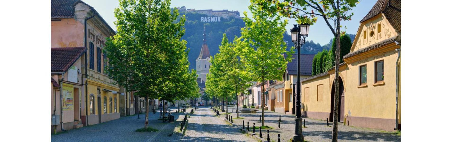 Pensiunea Casa Saxonia Risnov Bagian luar foto
